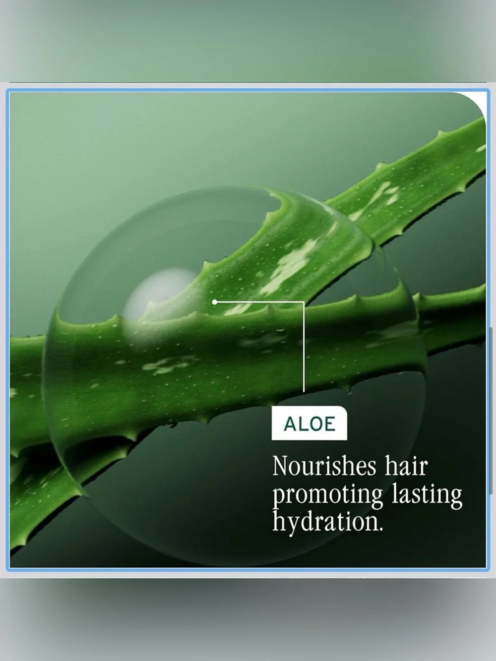 Biolage Hydra Source Ultimate Hydration Hair Care Bundle